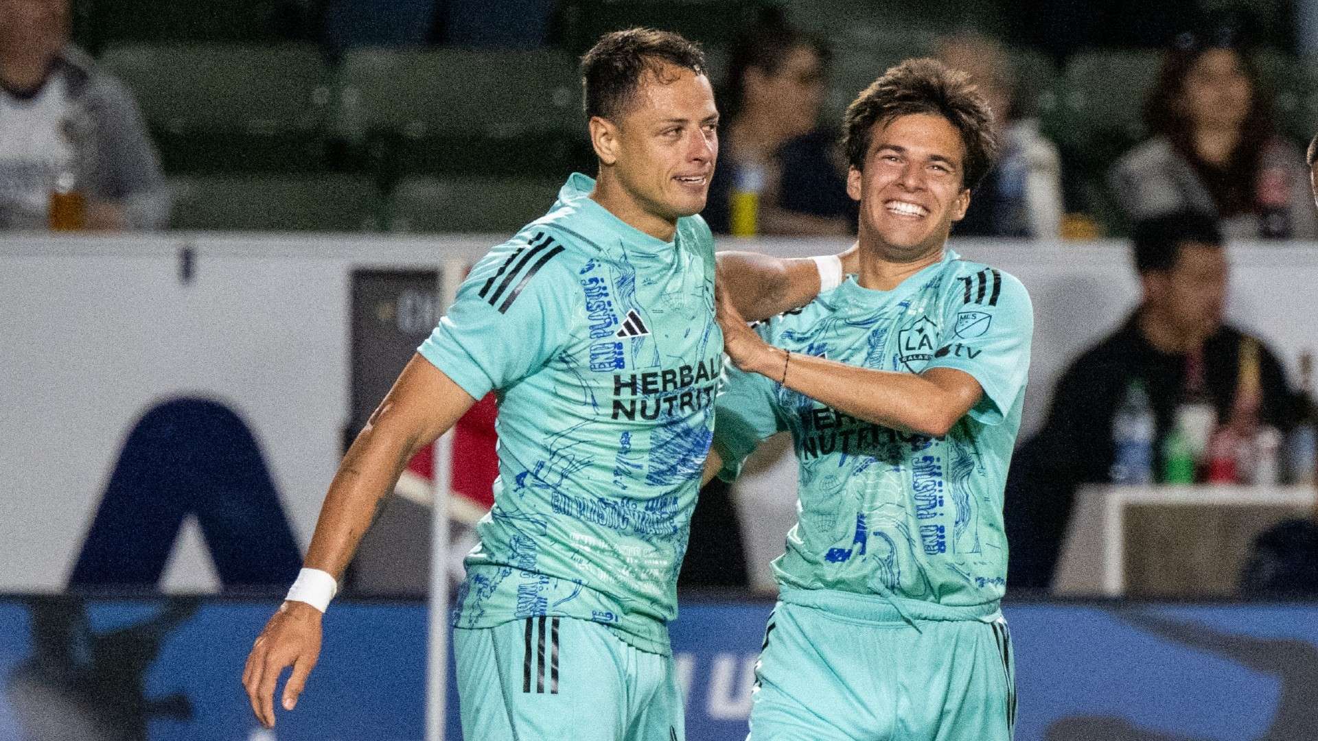 为庆祝本届 为庆祝本届